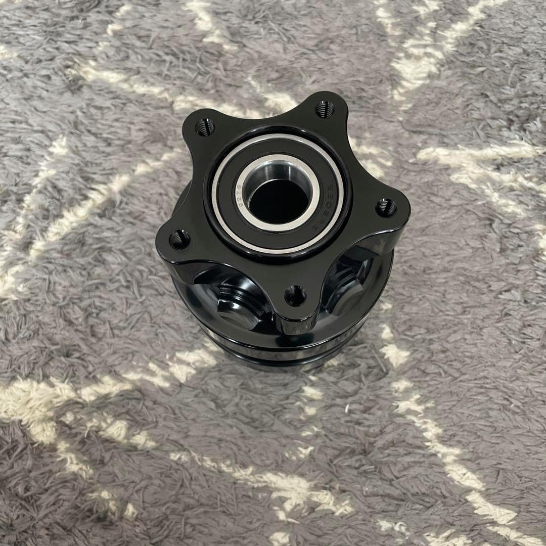 バルテュス、BALTHUS、白い部屋着の少女、希少な額装用画集より、新品